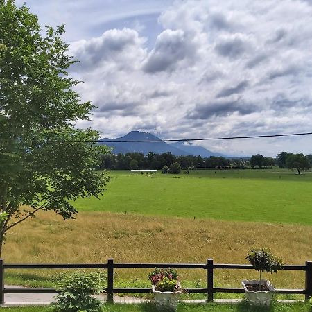 Apartma Arnez Μπλεντ Εξωτερικό φωτογραφία