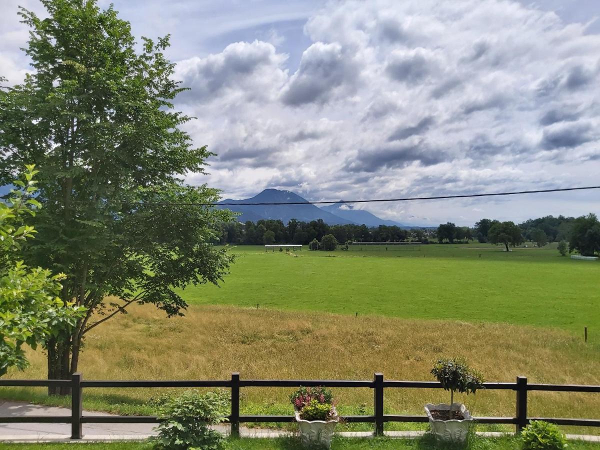 Apartma Arnez Μπλεντ Εξωτερικό φωτογραφία